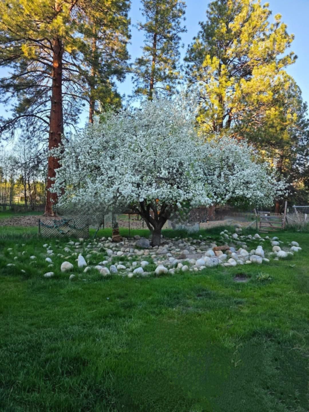 1 HR Party Session For Large Private Groups