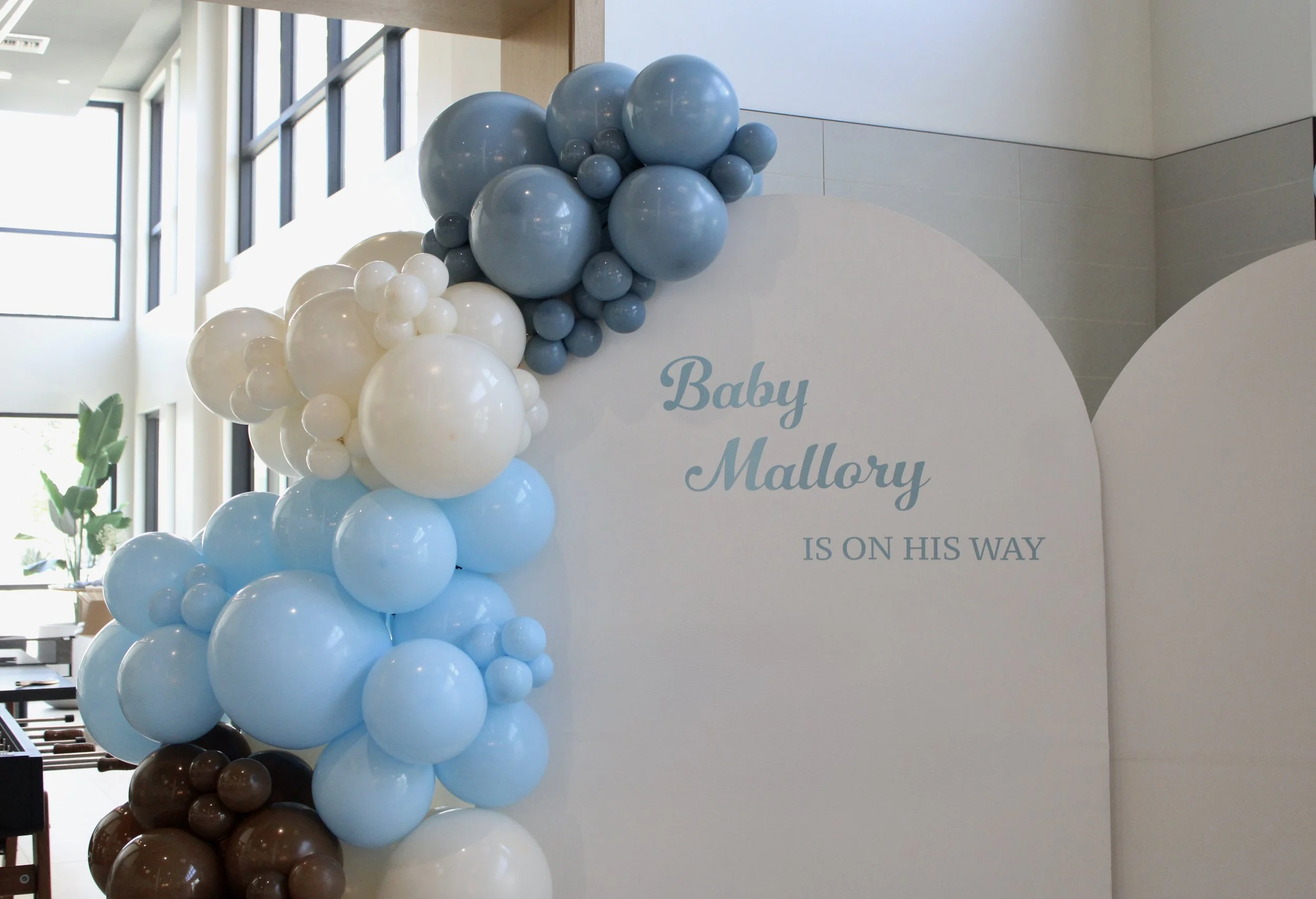 Baby Mallory Baby Shower