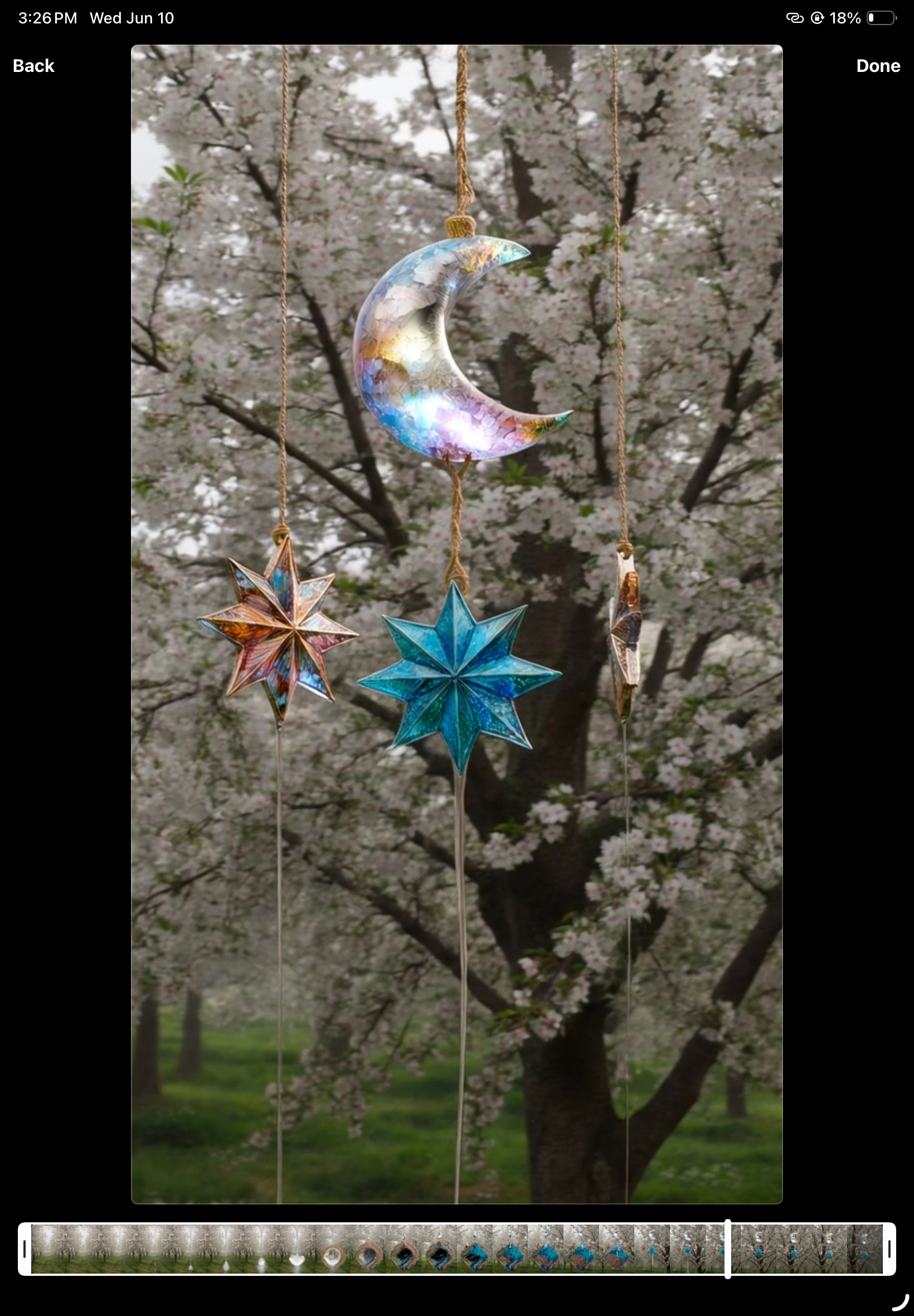 IMG_0755.png