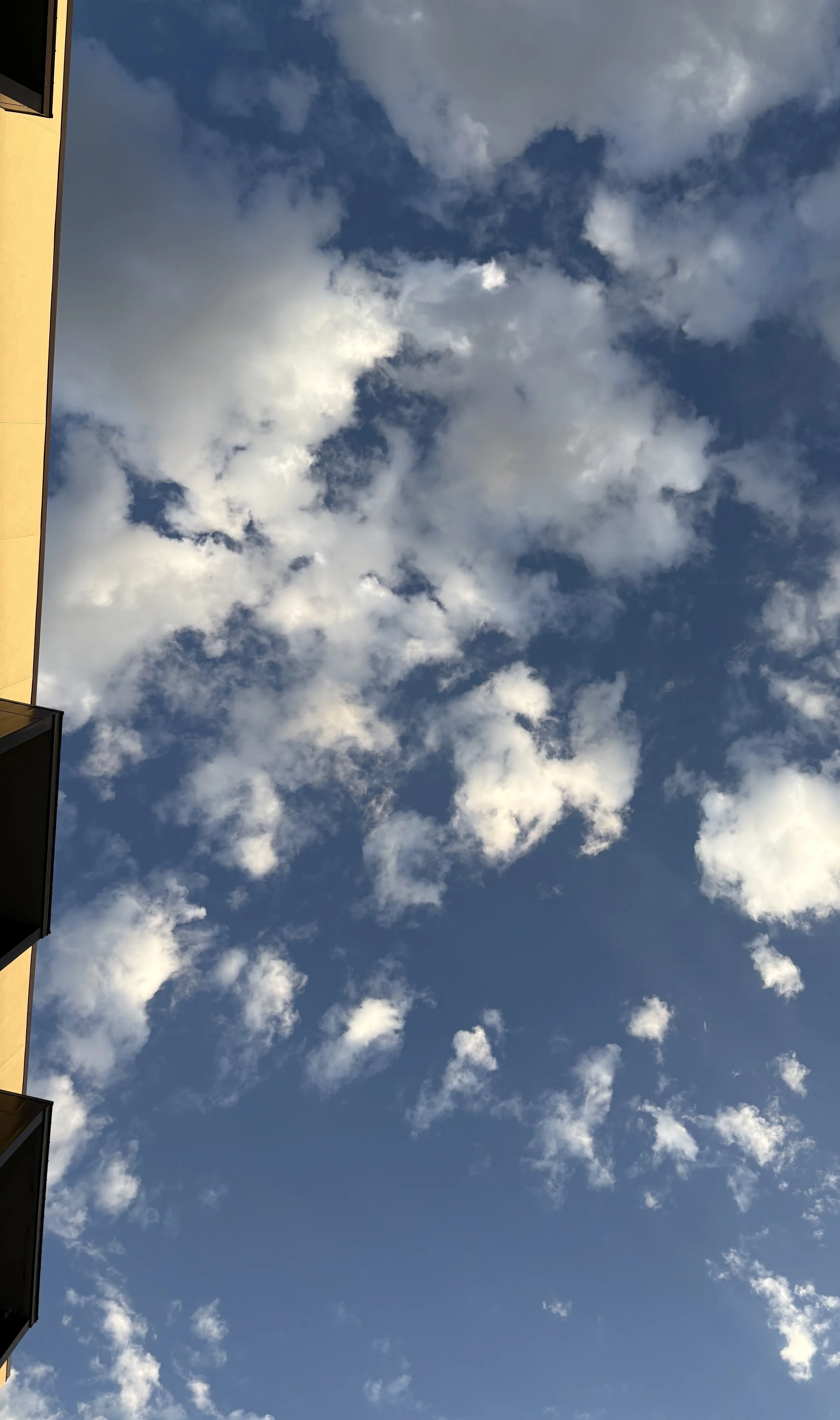 IMG_8920.jpeg