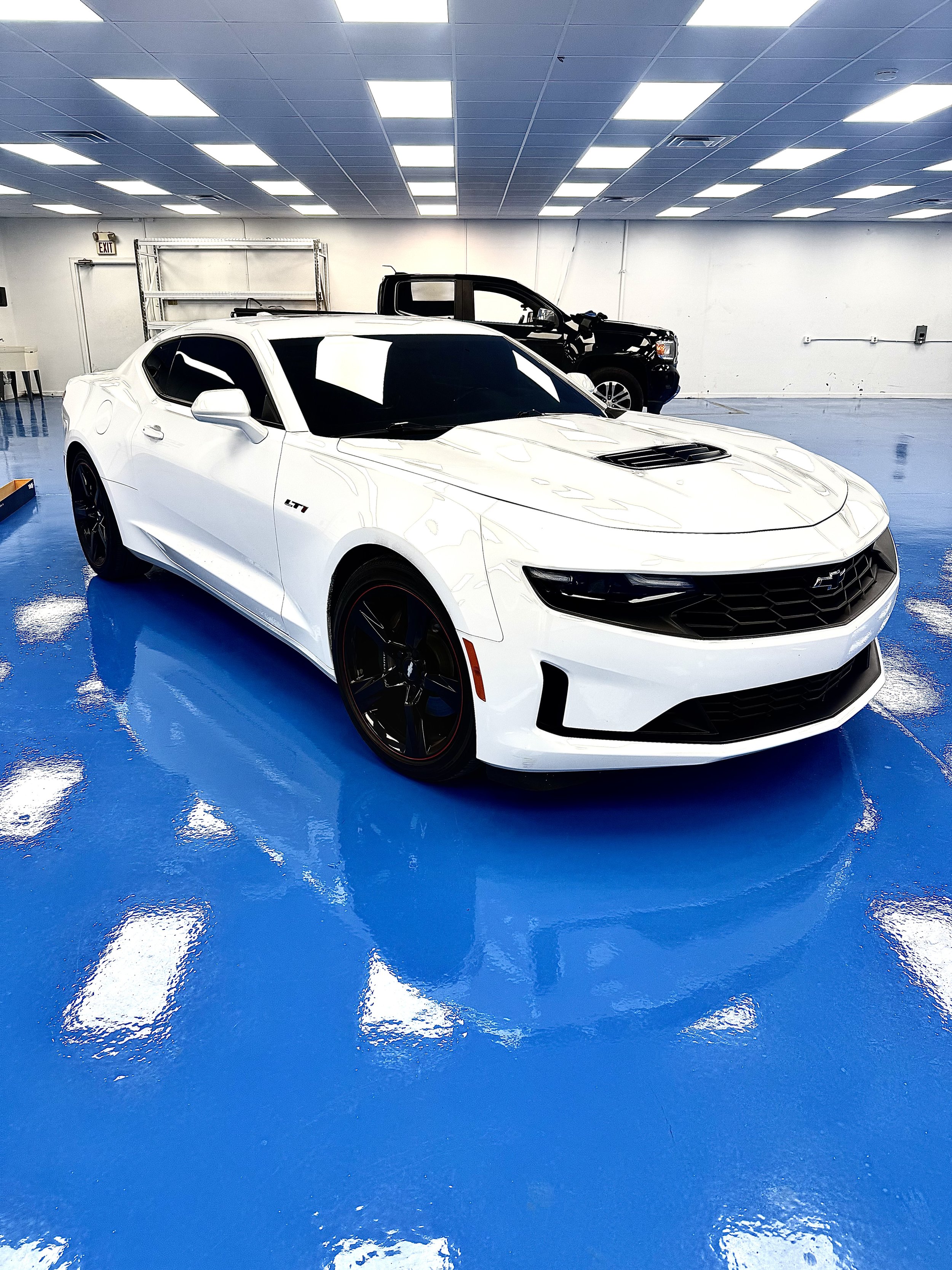 White Chevrolet Camaro LT sports car on shiny blue floor inside a showroom with 20% tinted windows and windshield.