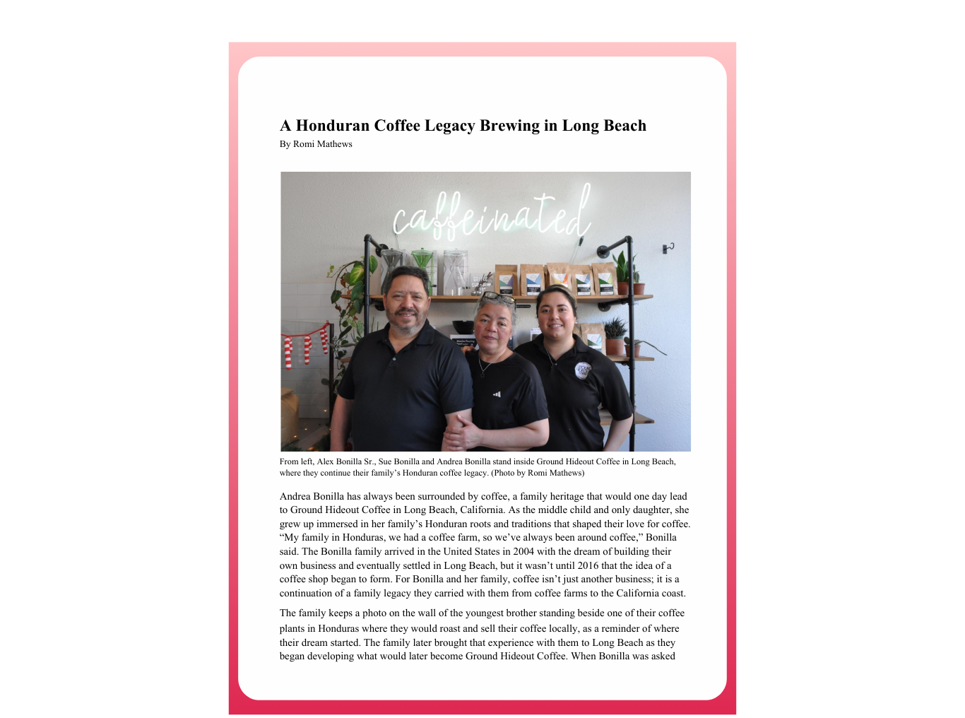 newsletter rebrand-2.png