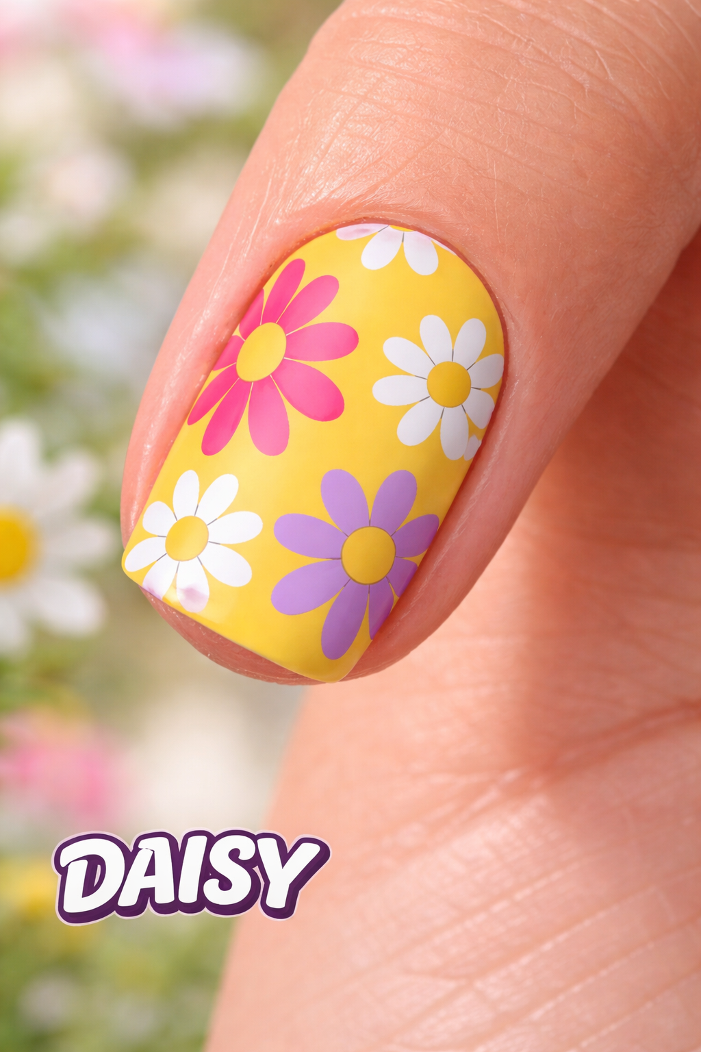 sunshine daisy pop macro 1.png