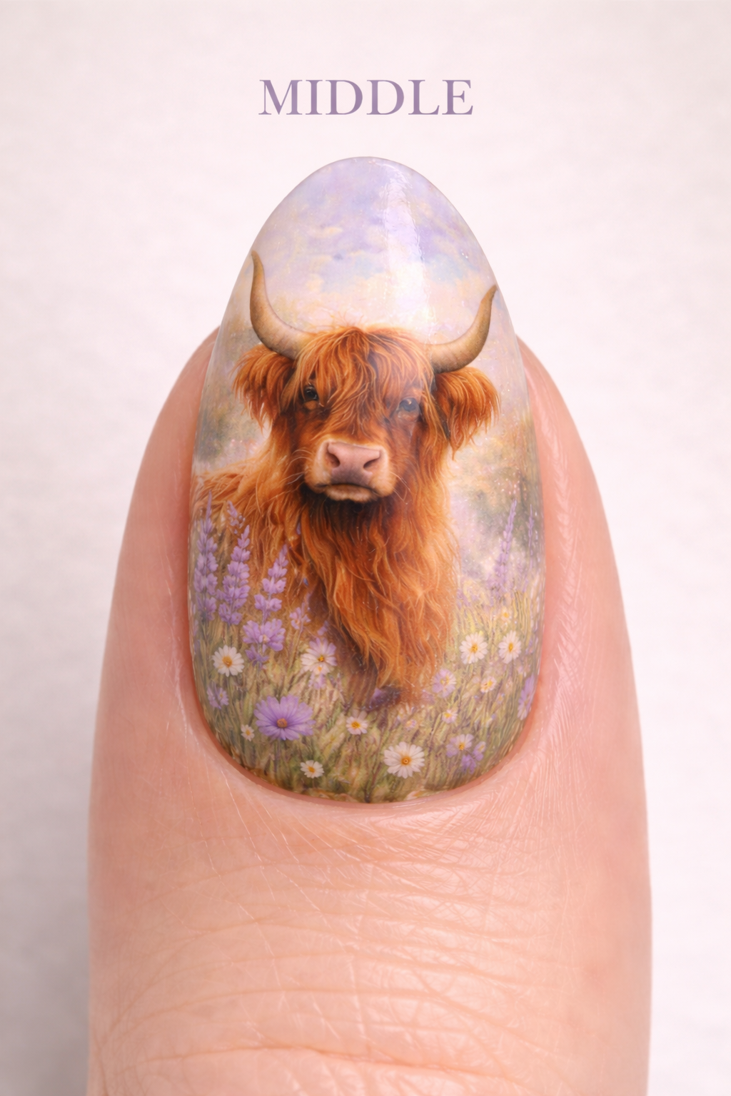 highland cow middle.png