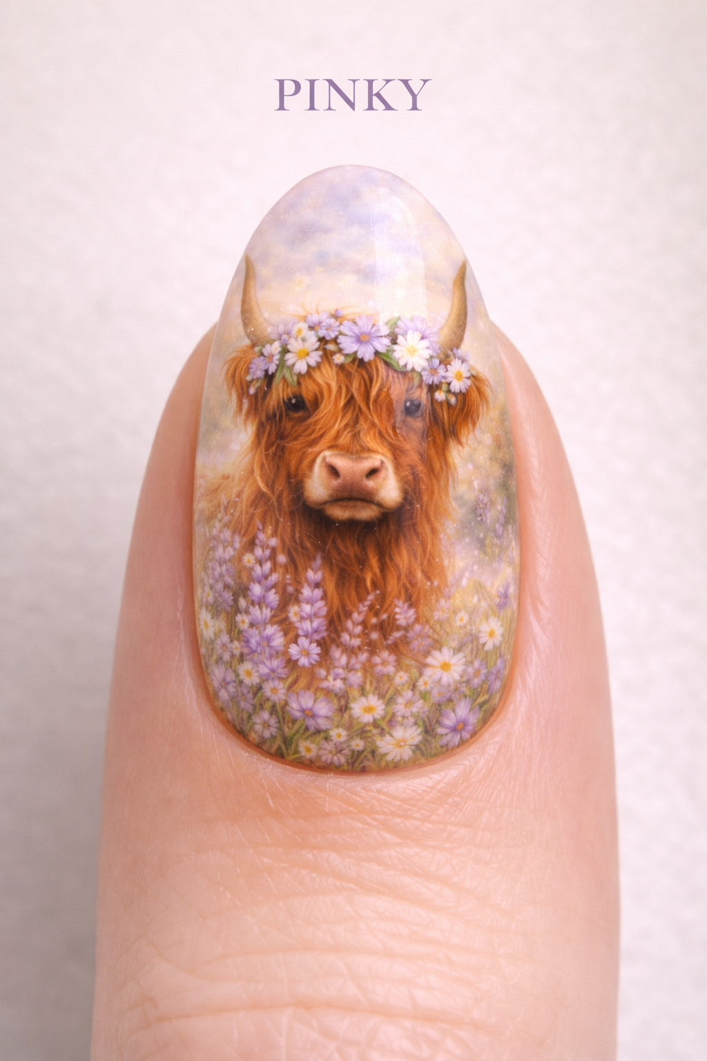 highland cow pinky.png