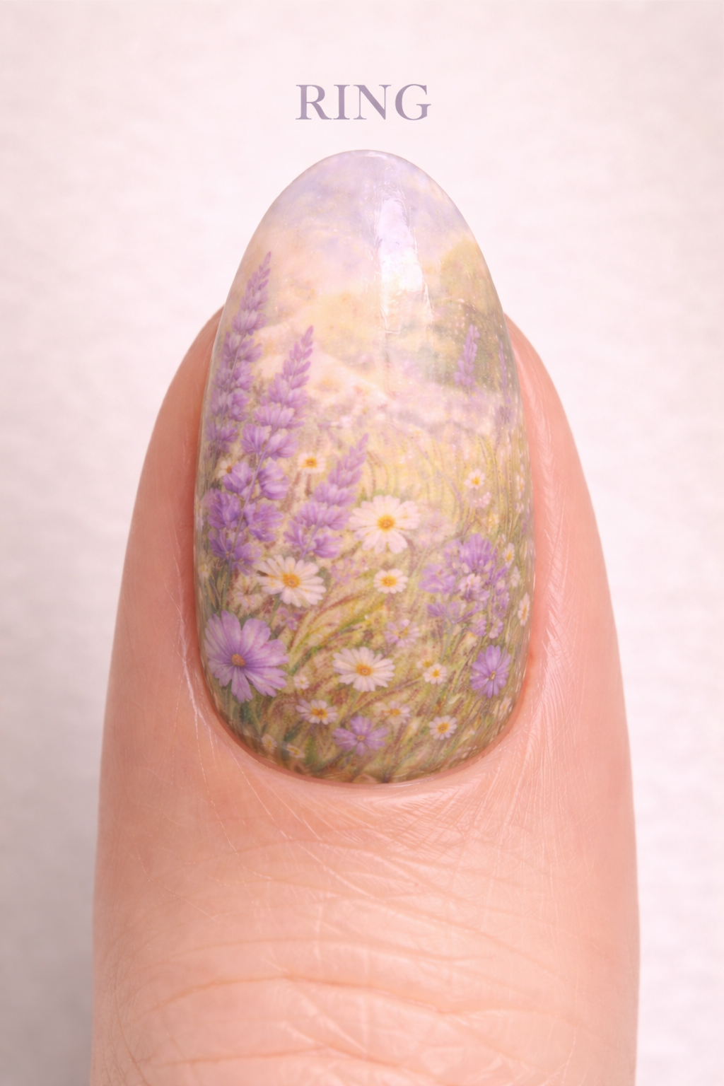 highland cow ring.png