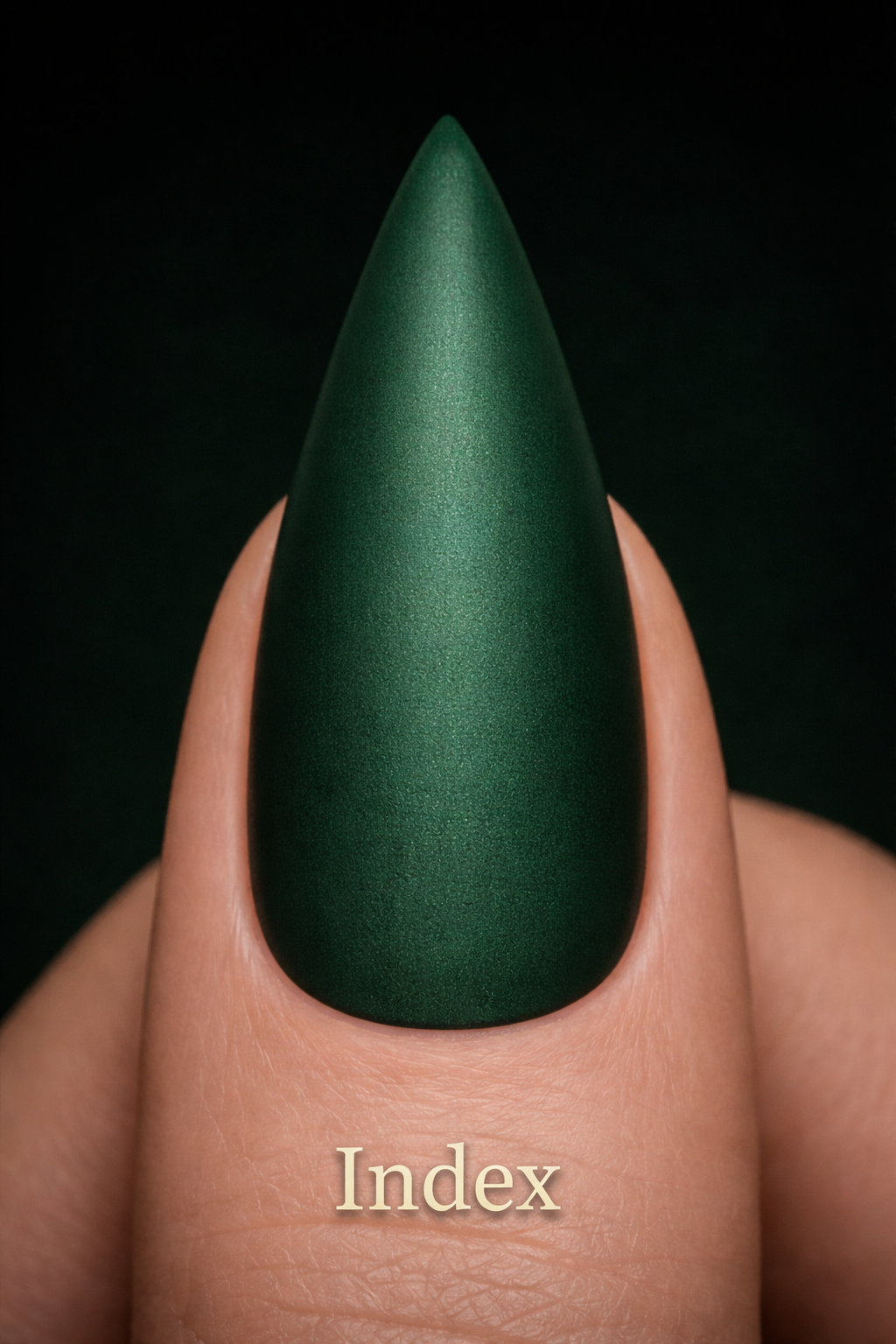 ChatGPT Image Feb 18, 2026, 09_10_41 AM.png