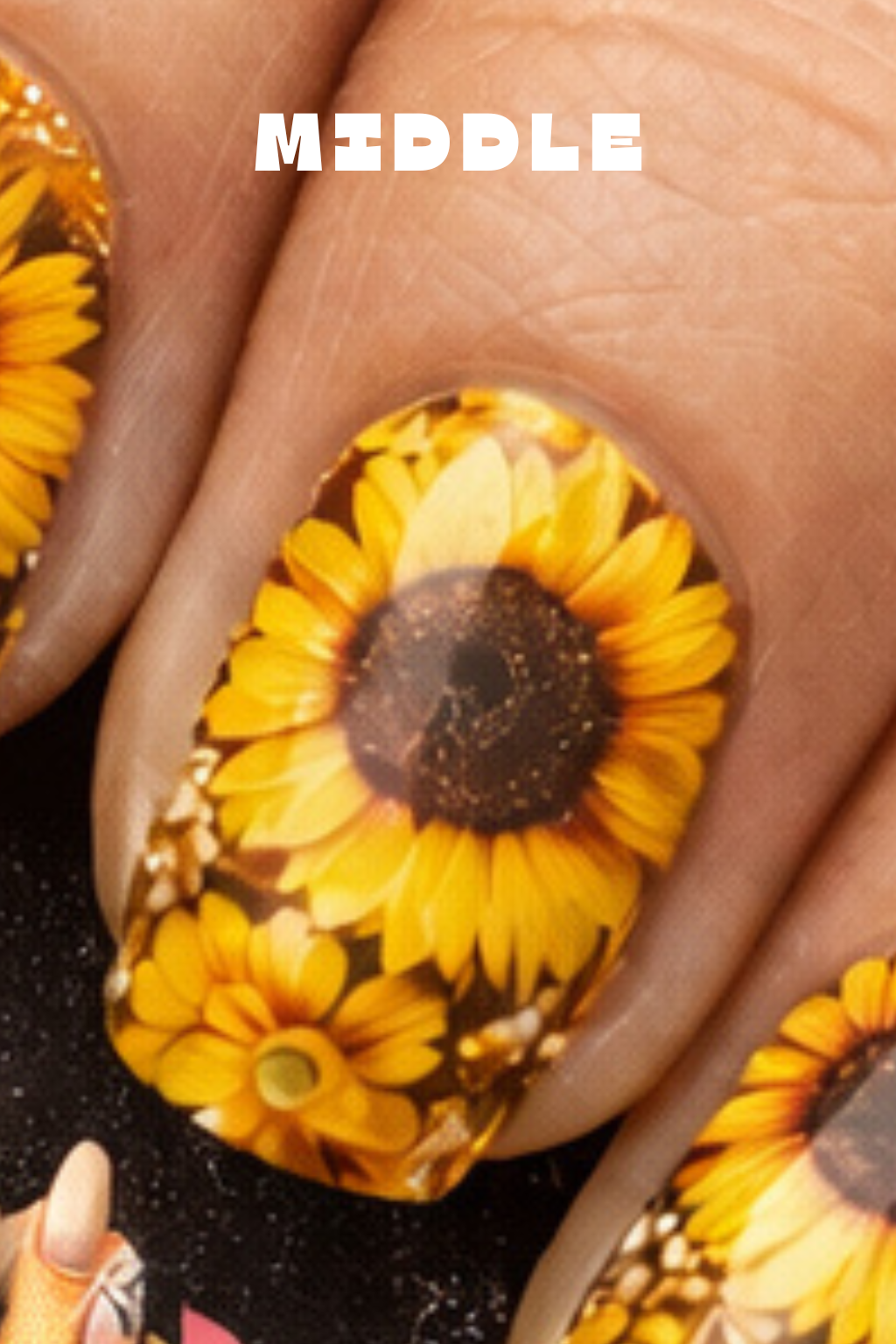 SUNFLOWER MIDDLE.png
