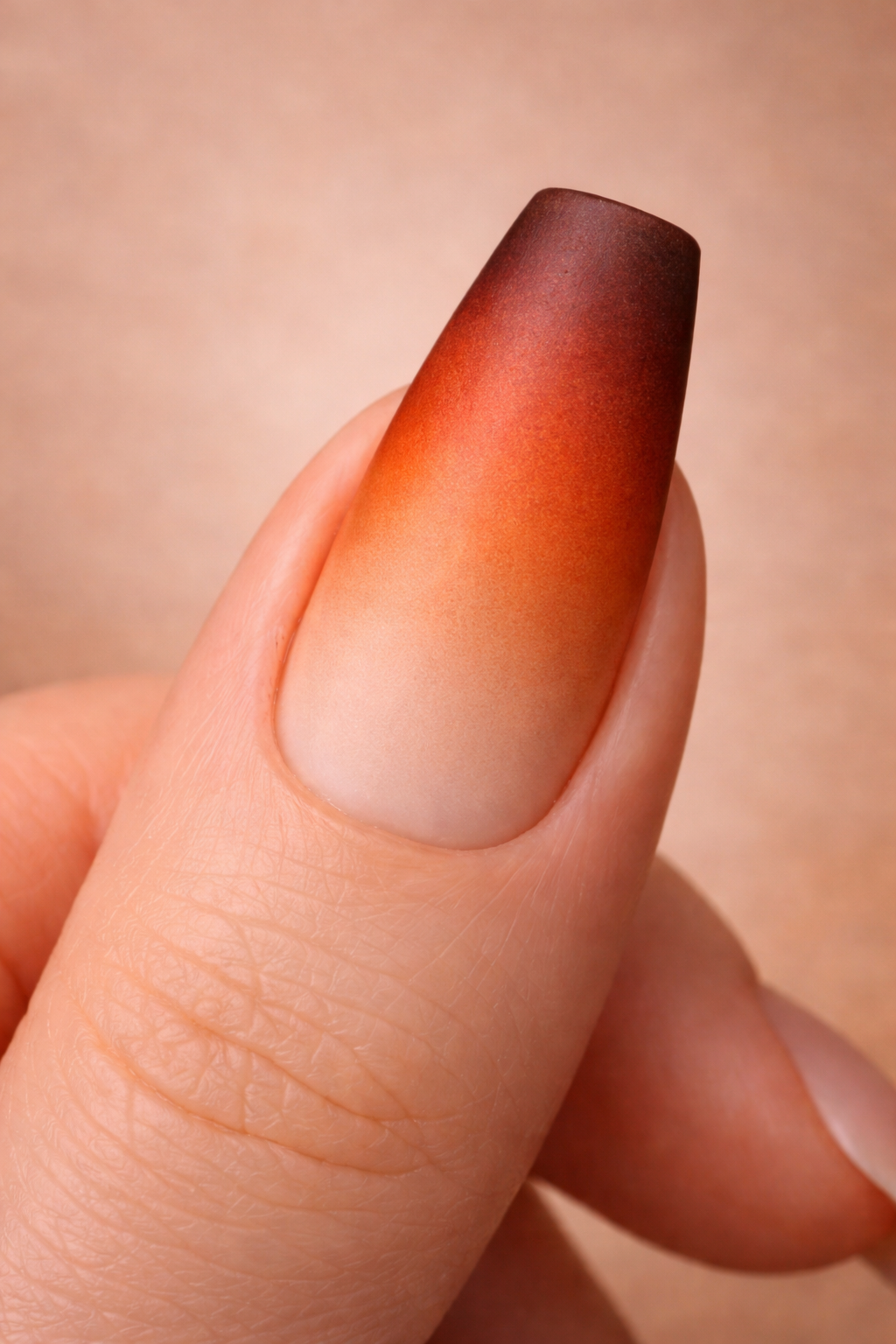 ChatGPT Image Feb 17, 2026, 08_36_11 PM.png