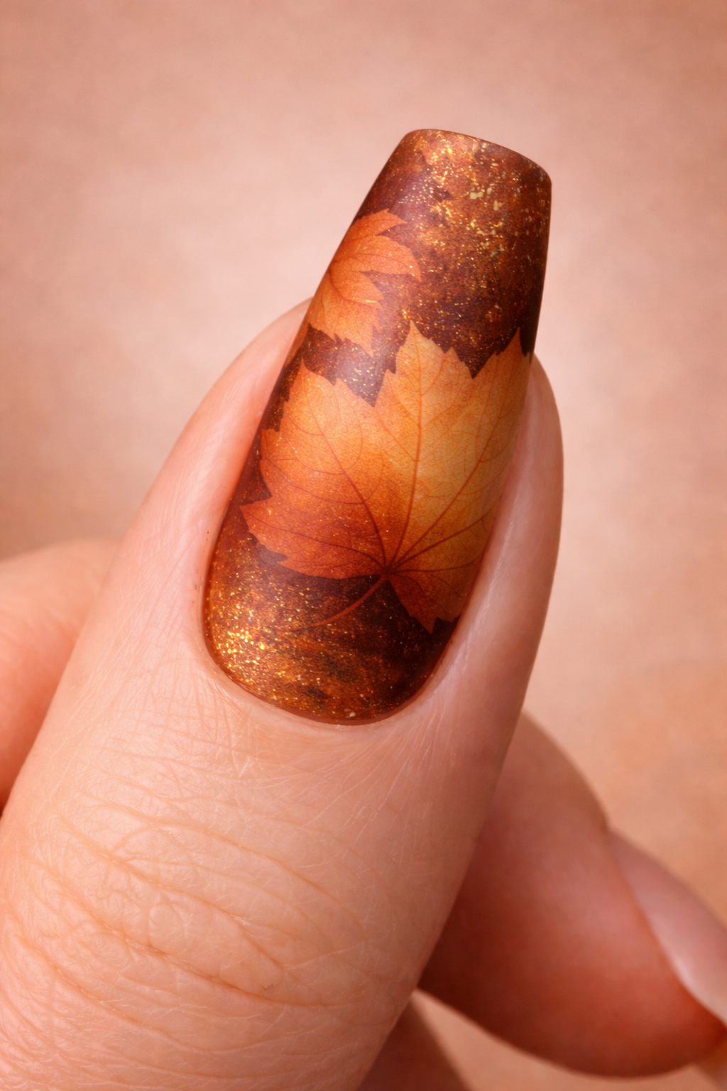 ChatGPT Image Feb 17, 2026, 08_36_38 PM.png