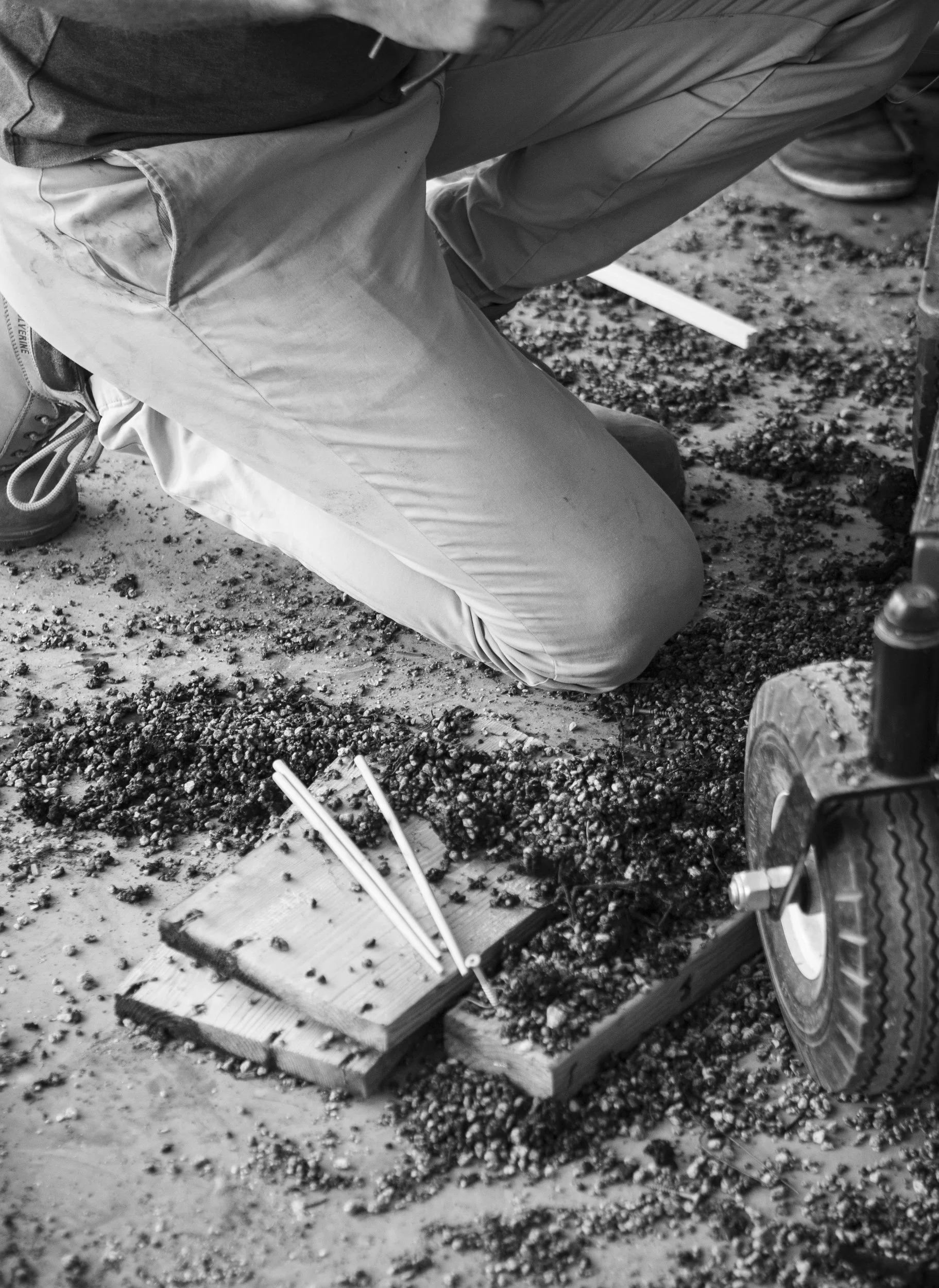 Process photography detail showing the delicate and messy reality of the repotting process 