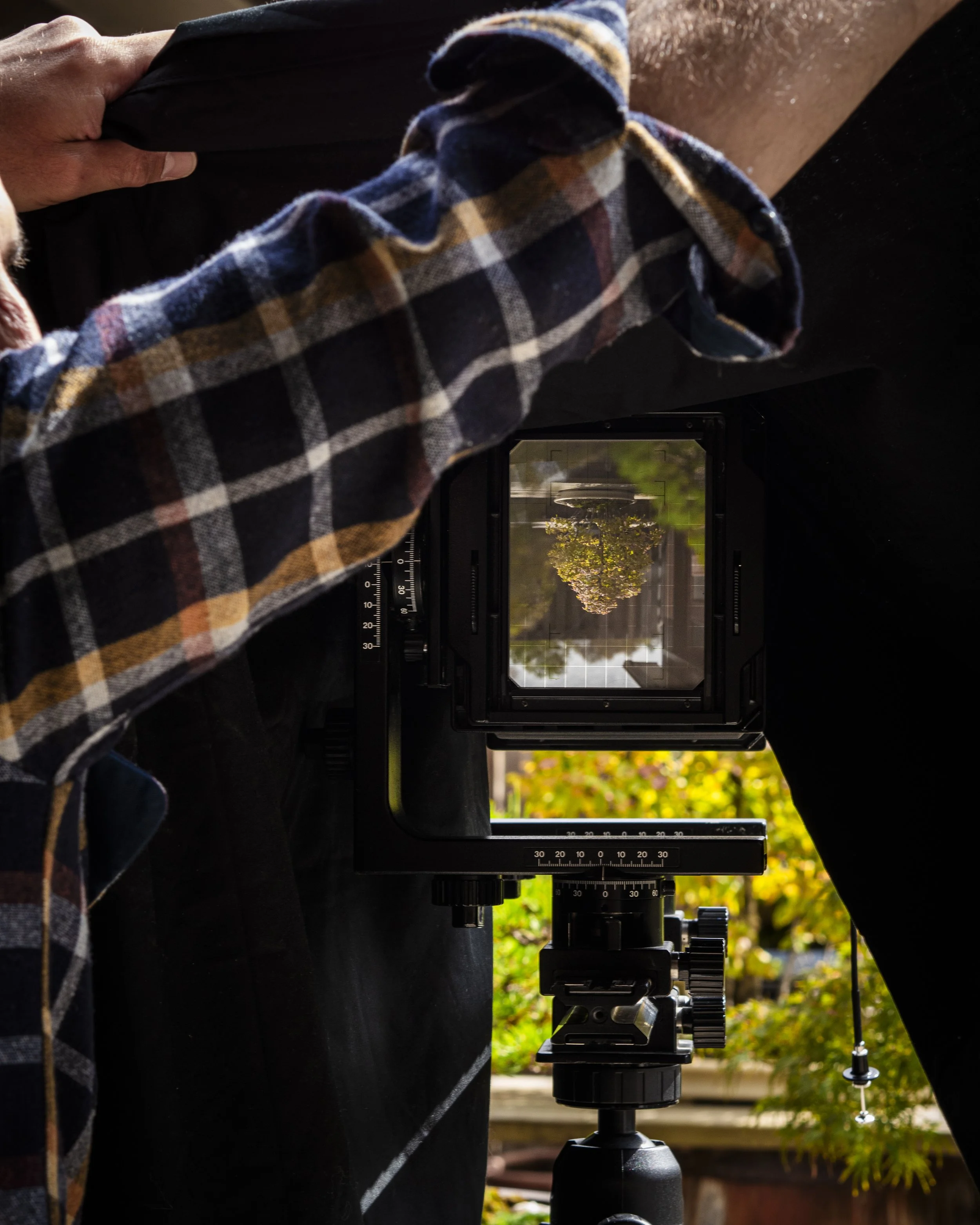 Artist and photographer Tony Favarula photographing the bonsai collection at renowned artist Bjorn Bjorholm's garden, Eisei-en, in Nashville, Tennessee
