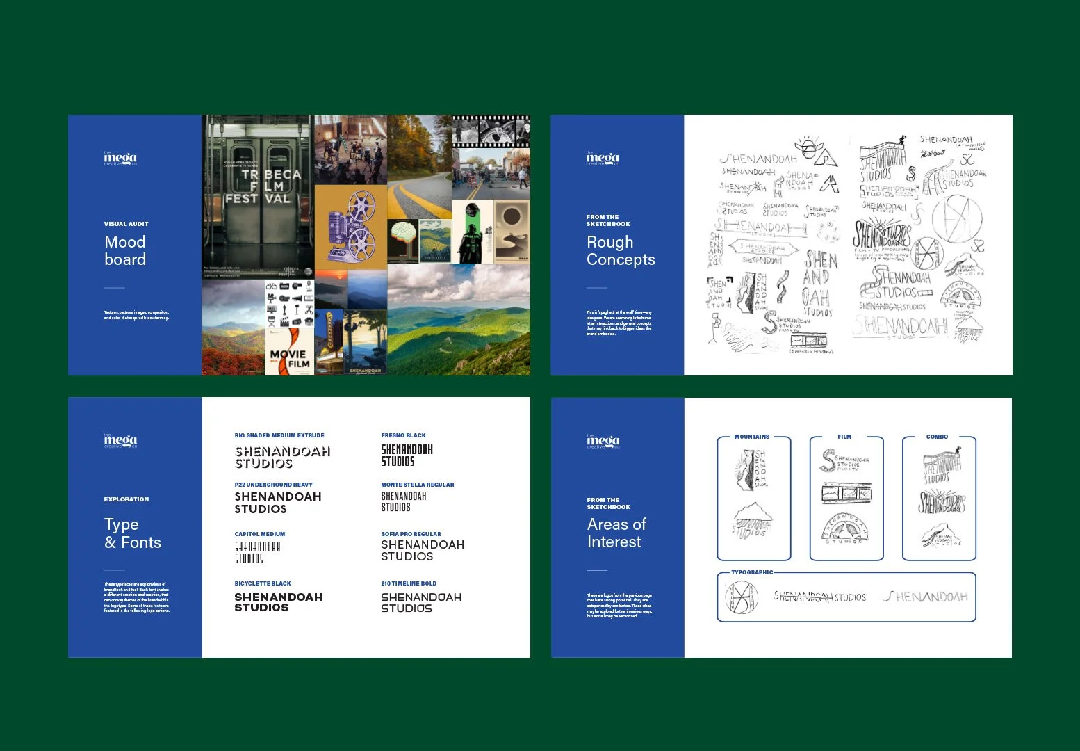 Artboard 1TheMegaCreativeCompany_ShenandoahStudios_LogoDesign_PresentationDesign_WebDesign.jpg