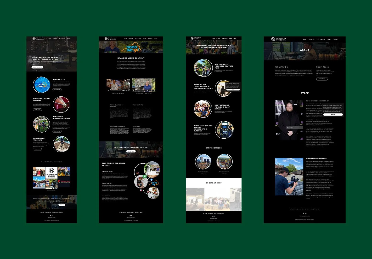 Artboard 1 copy 6TheMegaCreativeCompany_ShenandoahStudios_LogoDesign_PresentationDesign_WebDesign.jpg