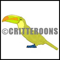 Toucan Sitting/Standing Pattern