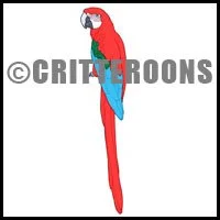 Scarlet Macaw Sitting Pattern