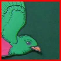 Tropical Birds Critter Pattern Packet