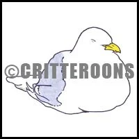 Sleeping Seagull Pattern