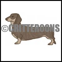 Dachshund standing pattern