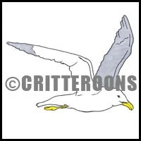 Flying Seagull II Pattern