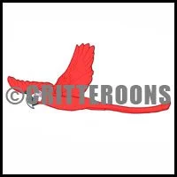 Scarlet Macaw Flying Pattern