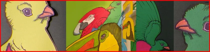 Colorful cartoon-style illustration of various birds, including a yellow chick, a red and blue parrot, and a green bird, against a dark background with a red border.