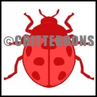 Ladybug Back Pattern