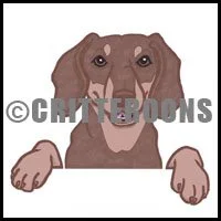 Dachshund Face & Paws Critter Pattern