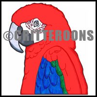 Scarlet Macaw Door & Dangle-Bob Pattern Set