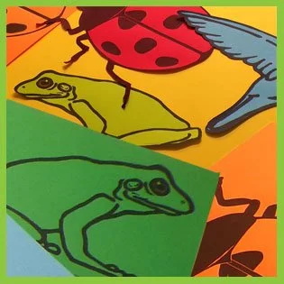 Whole Insects Pattern Packet