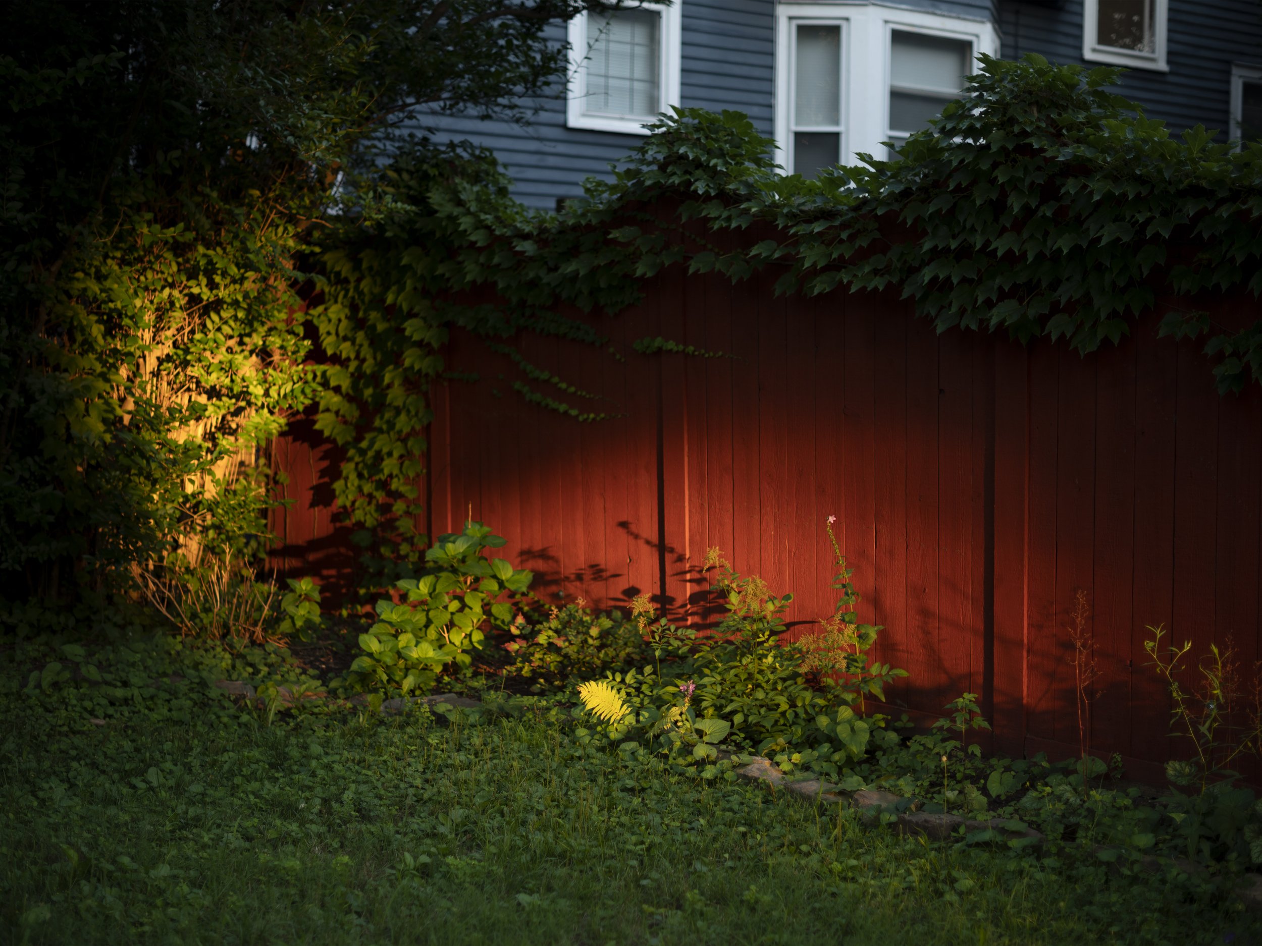 DSC_6942print copy 2.jpg