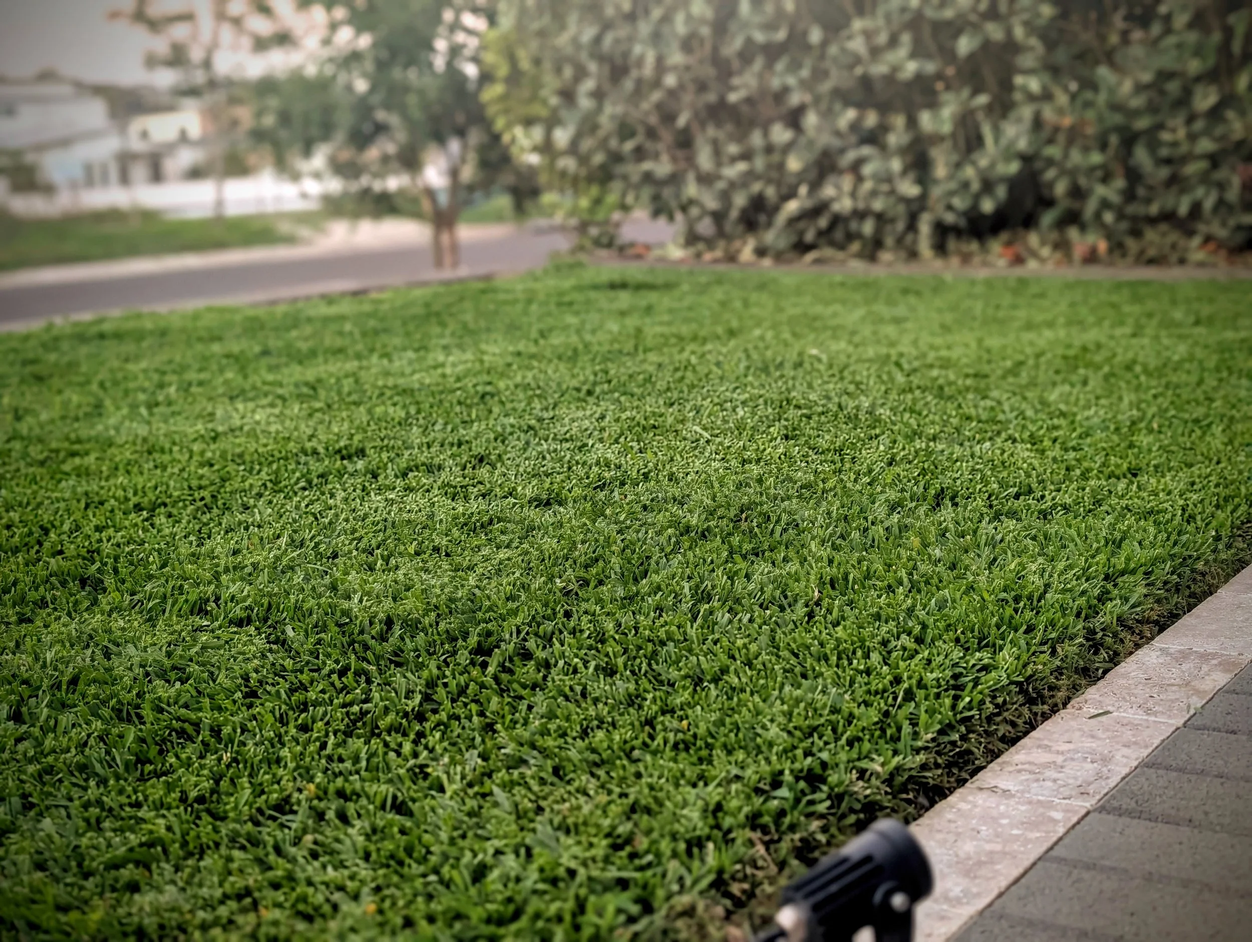 Lawn maintenance Grantham Farm, NSW 2765