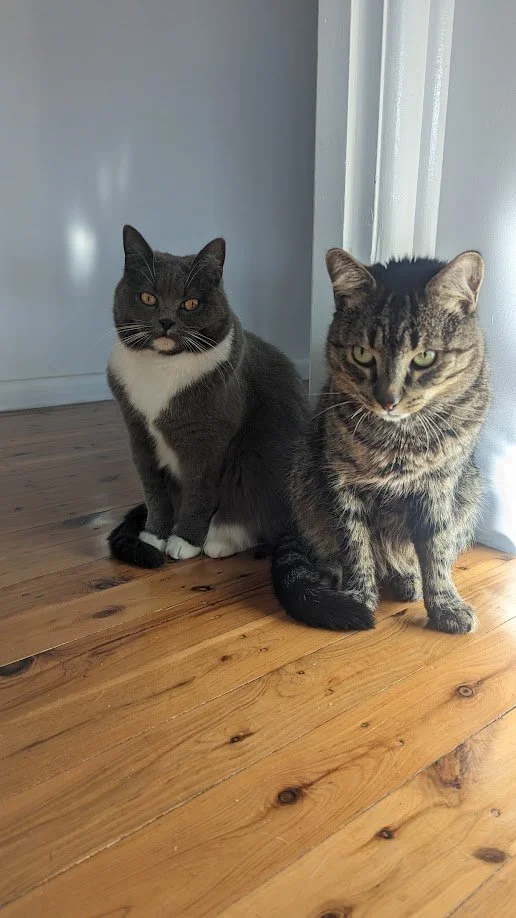 Toffee and Apple - Grantham Green Co