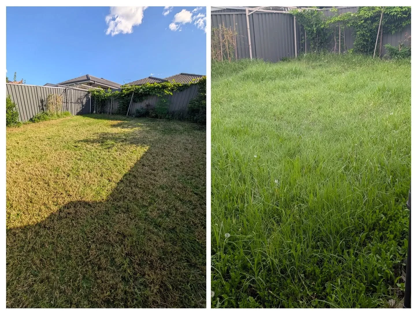 From overgrown &rarr; maintained ✔️

This is what consistent, scheduled lawn care looks like.

Most lawns in Grantham Farm don&rsquo;t fail because of lack of effort&hellip;

They fail from inconsistency.

Too long between cuts &rarr; stress
Cut too 
