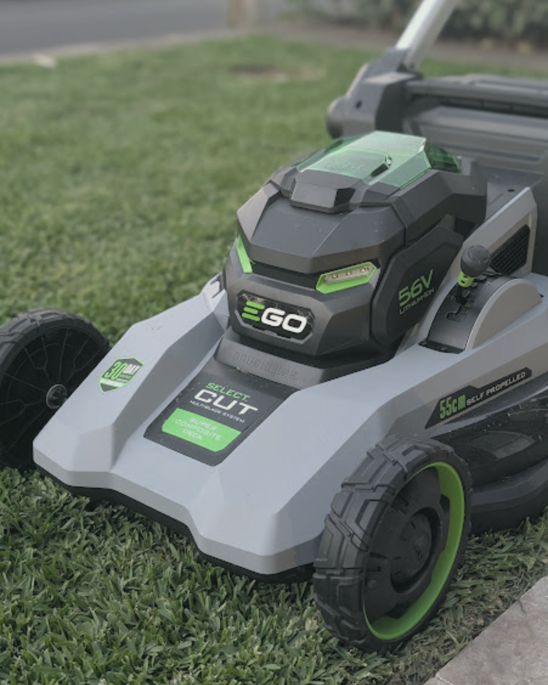 Lawn Mowing and Edging