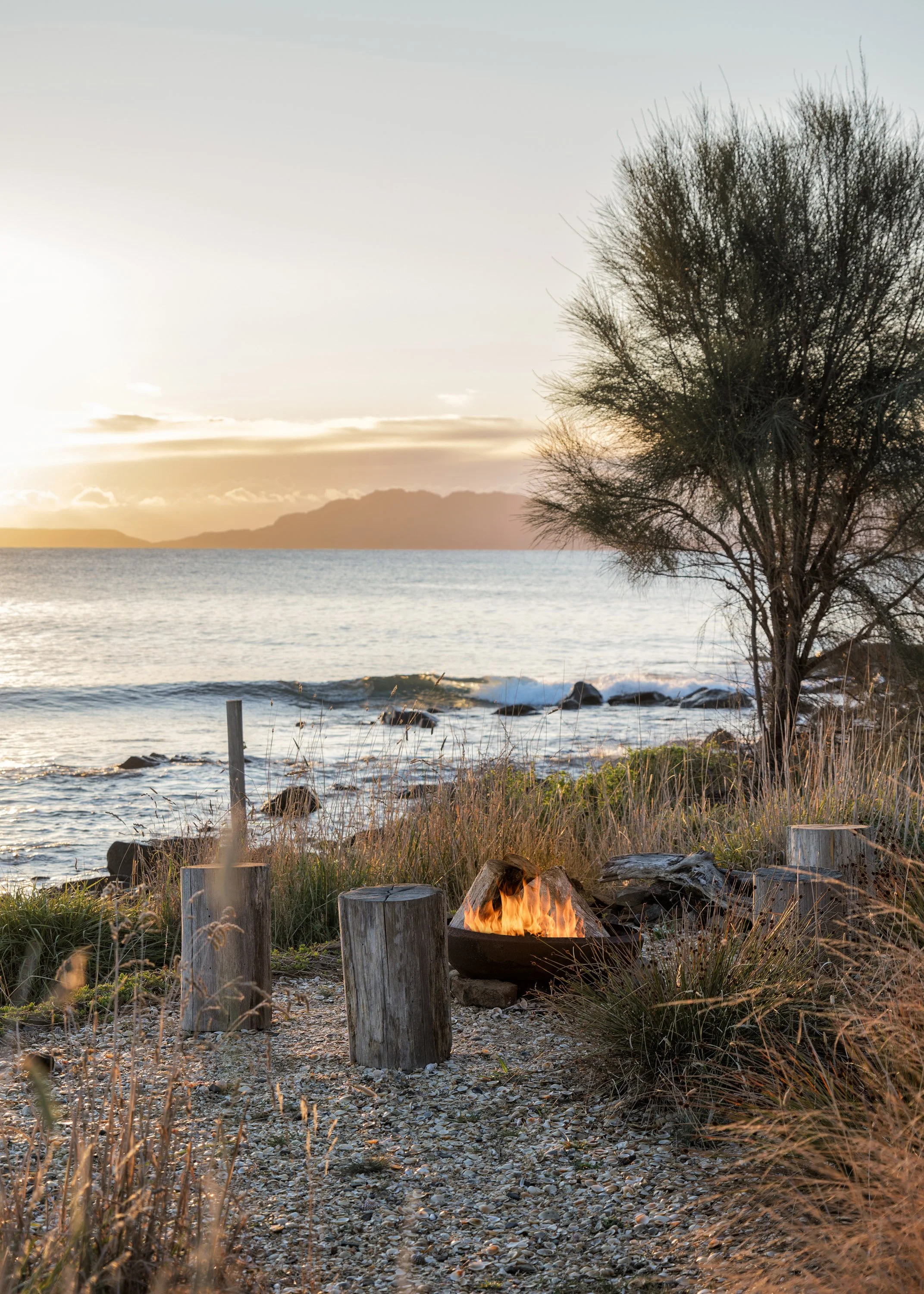 A sunset by the beach with a fire pit surrounded by wooden stumps, tall grasses, a tree, and water with small waves and mountains in the background.
