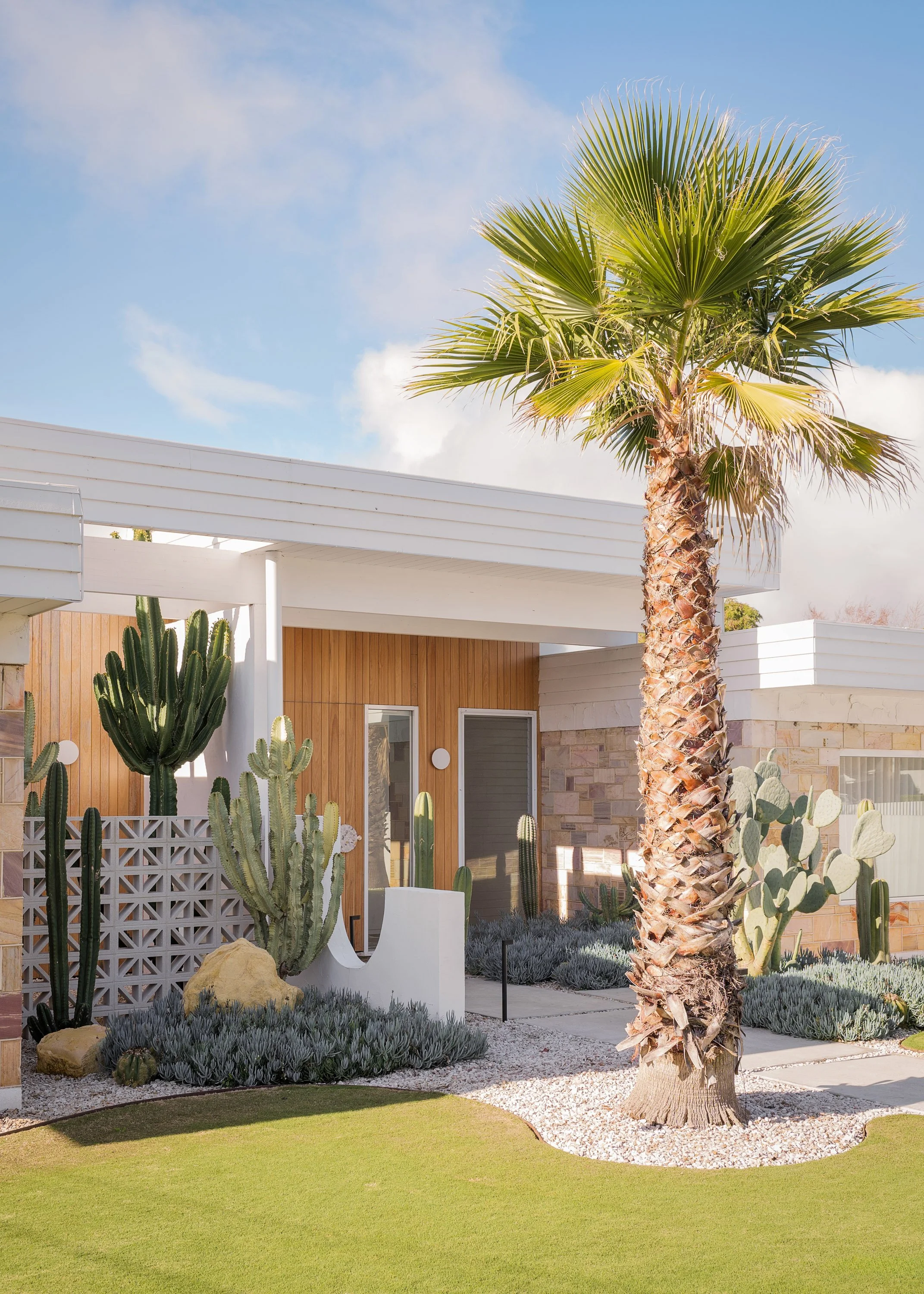 A modern house with a desert-style landscape including a palm tree, cacti, and drought-tolerant plants, under a partly cloudy sky.