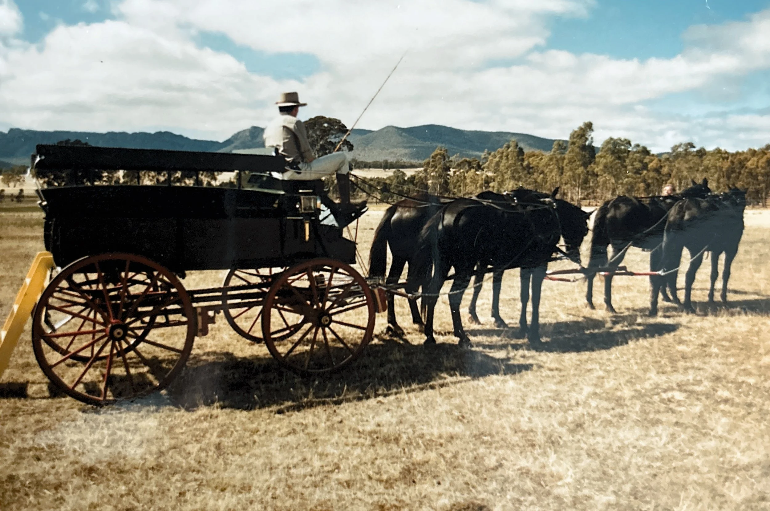 A person in vintage clothing and a hat sitting on a horse-drawn carriage in a field with mountains and trees in the background.