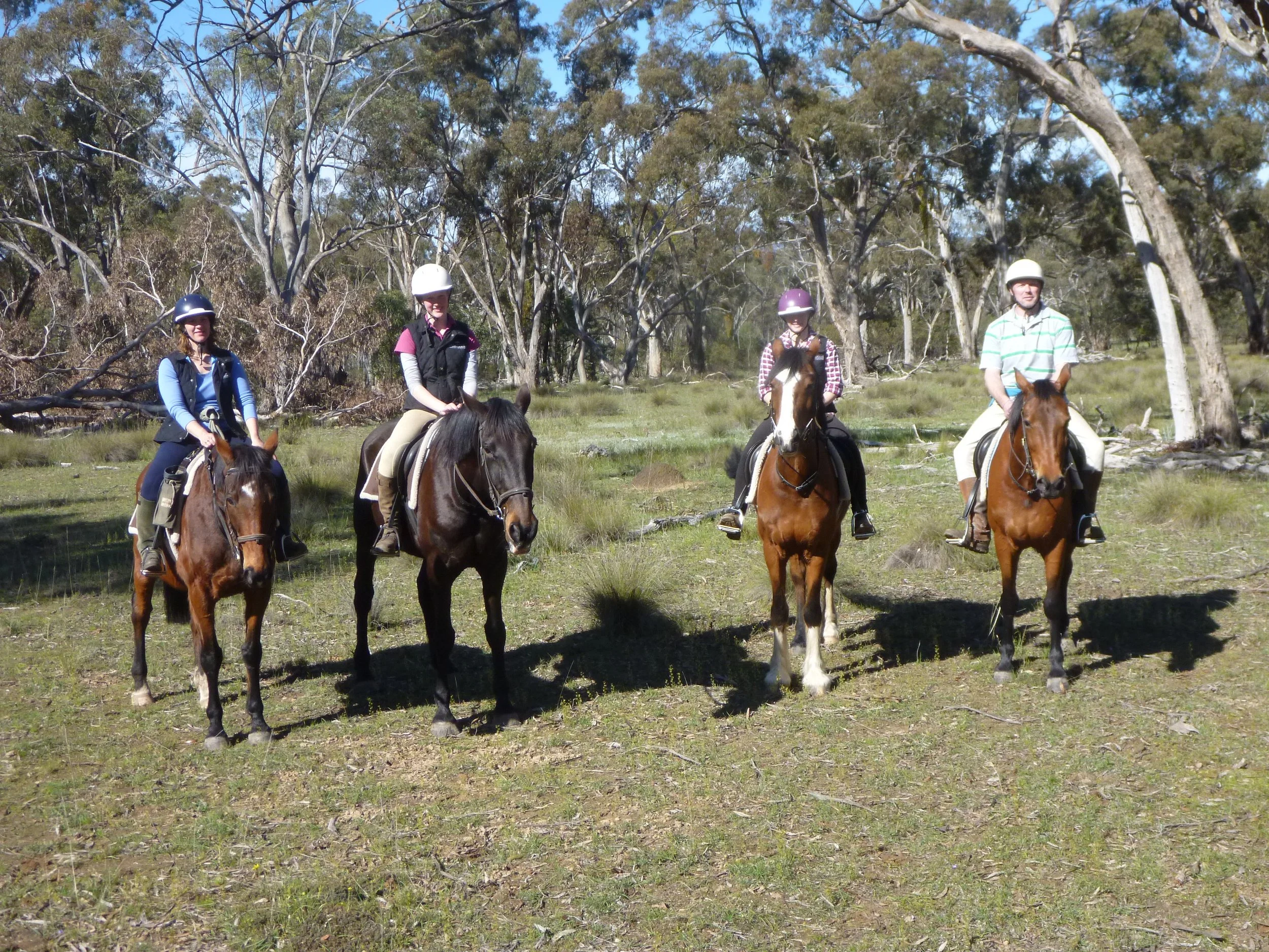 Four people riding horses in a wooded outdoor area, all wearing helmets and casual riding attire.