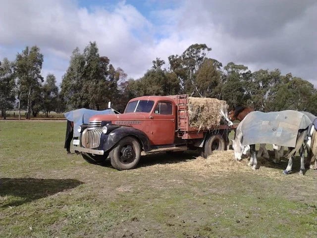Vintage red and black truck loaded with hay, with horses nearby under an overcast sky.