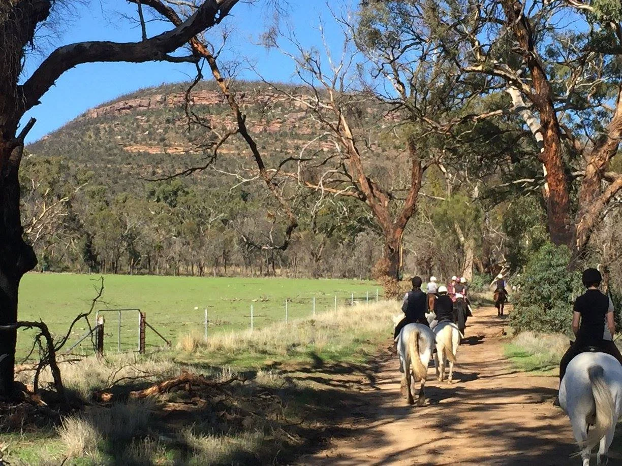A group of people riding horses on a dirt trail through a wooded area with a mountain in the background.