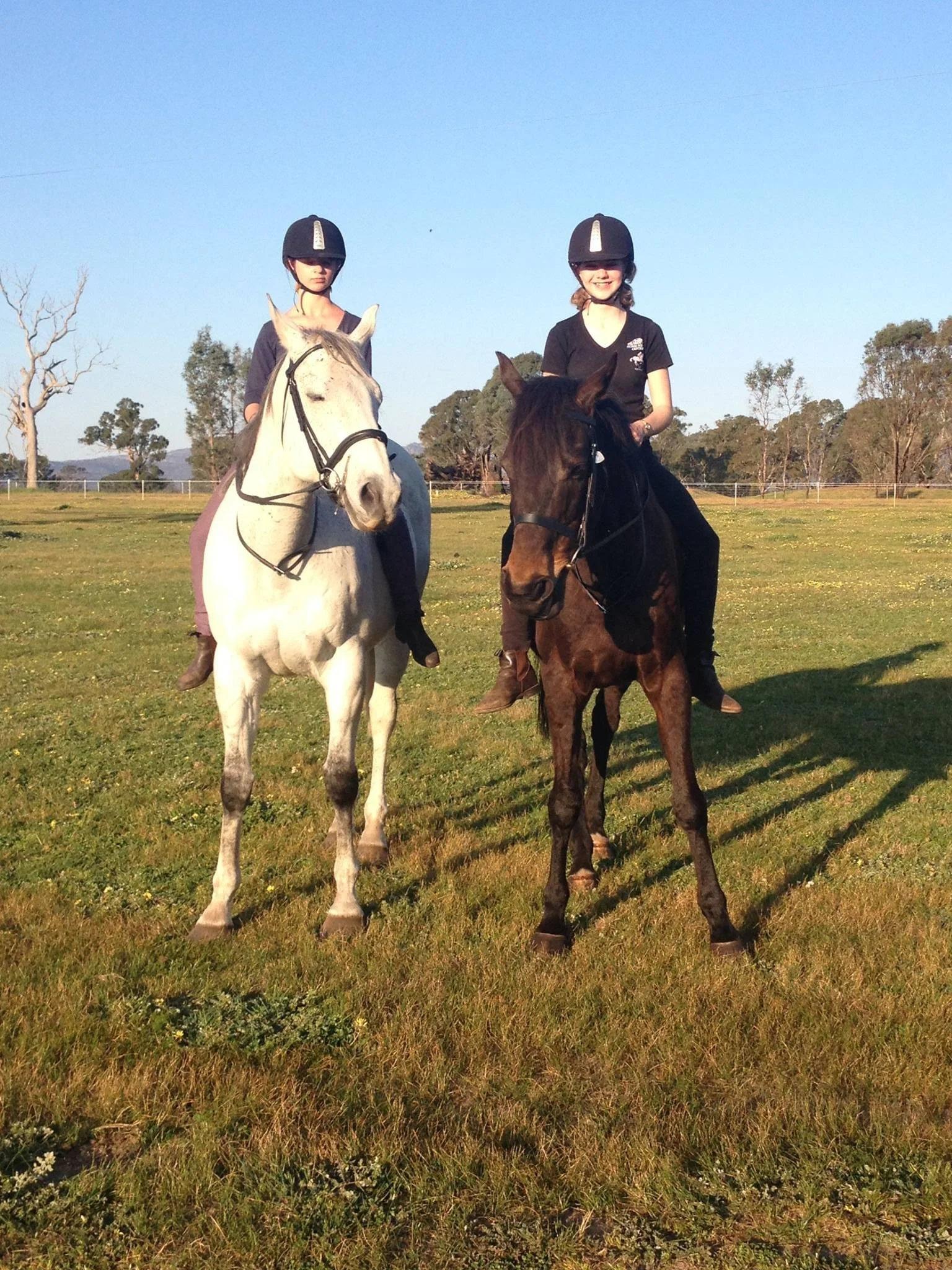 Two young girls riding horses on a grassy field, wearing helmets, with trees and a clear sky in the background.