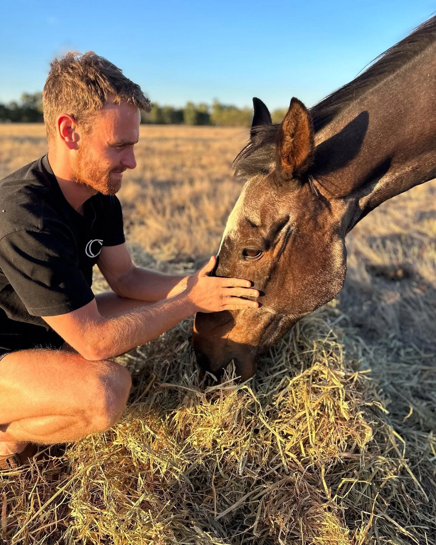 A man kneeling in a field, gently touching the nose of a brown horse with a mane, as the horse eats grass.