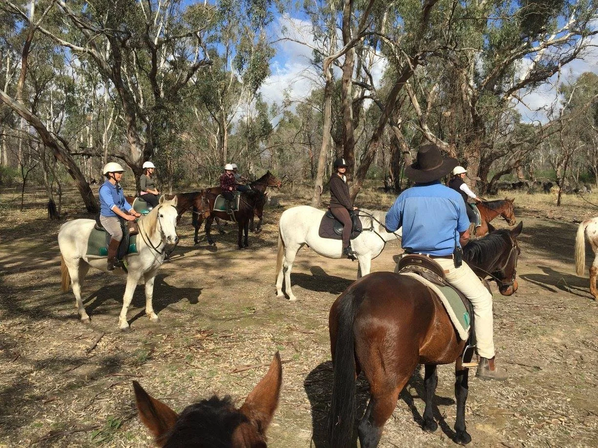 People horseback riding through a wooded area with tall trees and a partly cloudy sky.