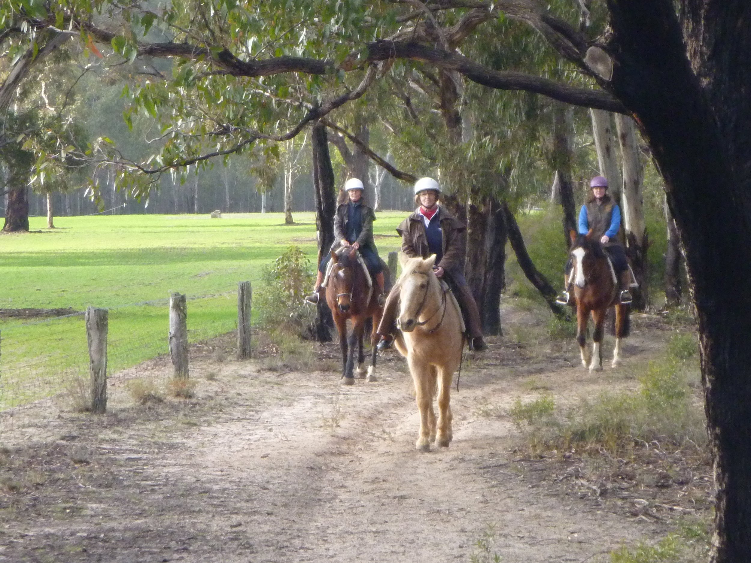 Three people riding horses on a dirt trail through a park with green grass and trees.