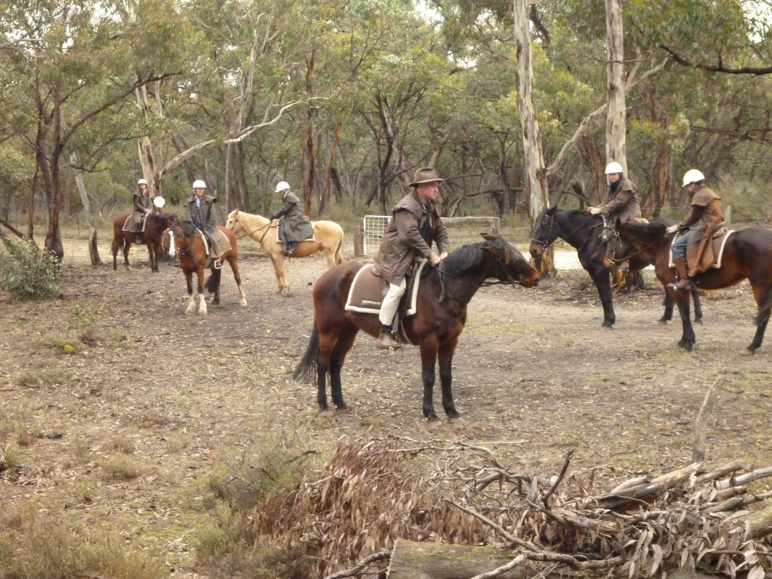 Seven people riding horses in a wooded outdoor area with trees and dry grass, some wearing white helmets and jackets.