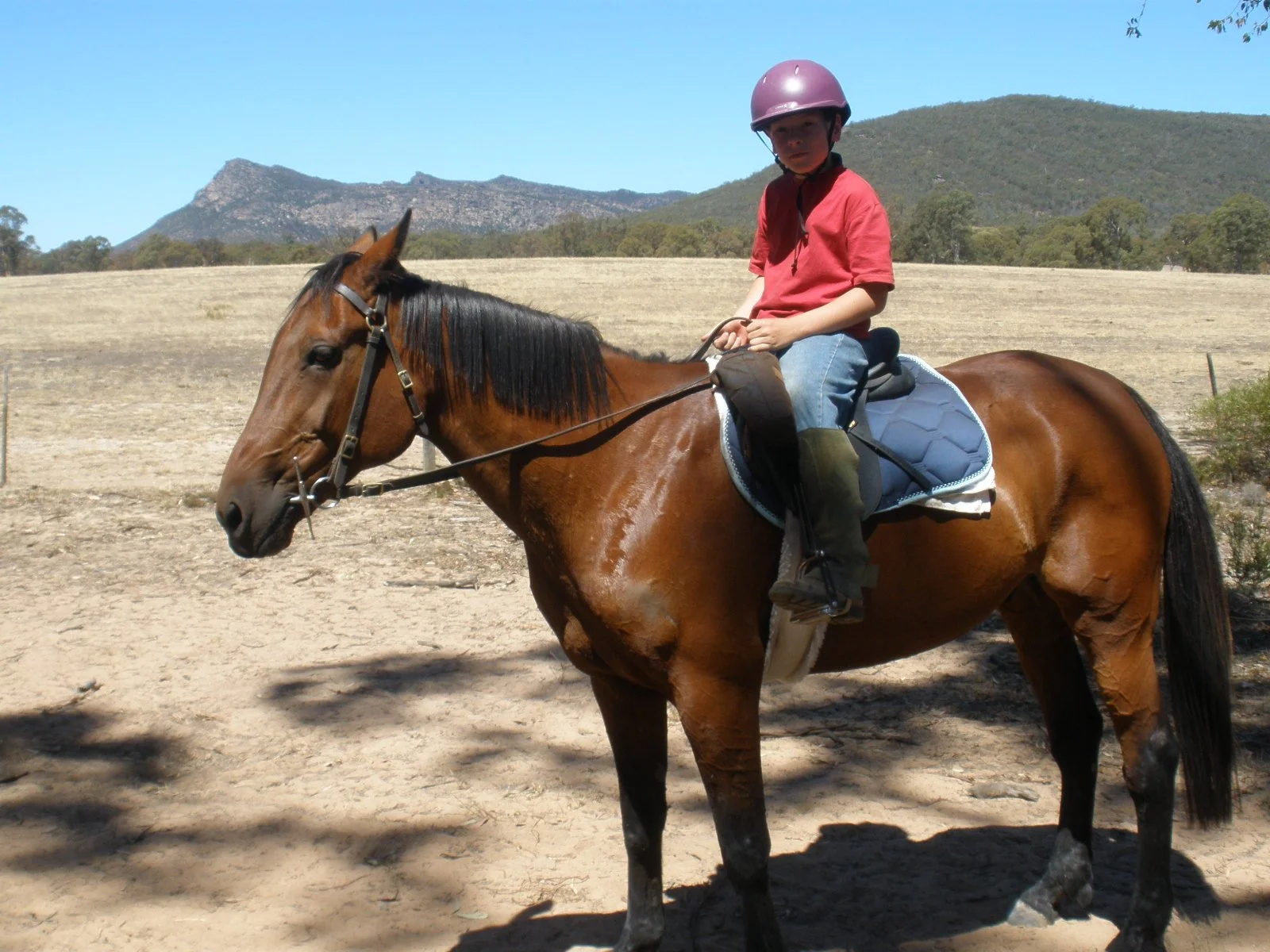 A young boy with a purple helmet riding a brown horse in an open, hilly landscape with mountains in the background on a sunny day.