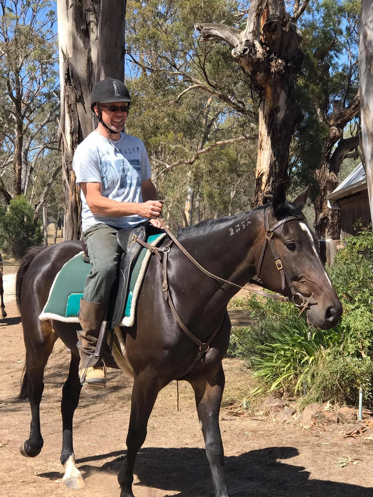 A man riding a horse outdoors, wearing a black helmet and sunglasses, with trees and a building in the background.
