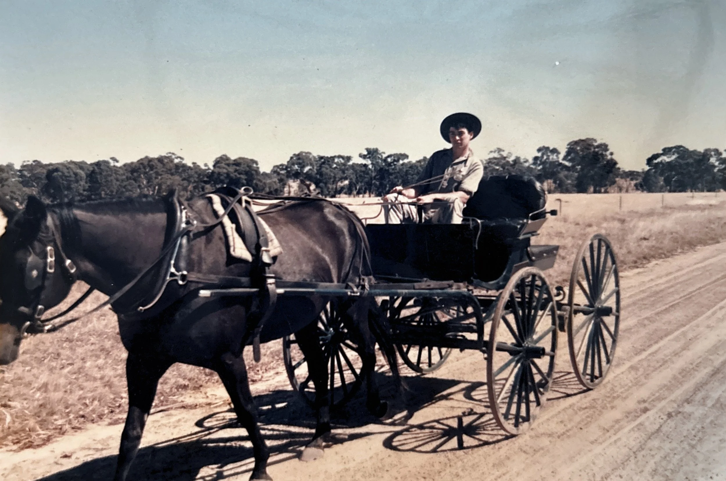 A young man wearing a hat and light-colored shirt riding a horse-drawn carriage on a dirt road with trees in the background.