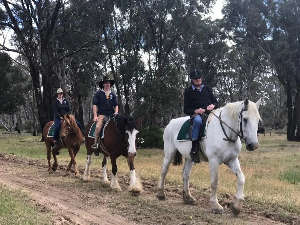 Three people riding horses along a dirt path in a forested area with tall trees.